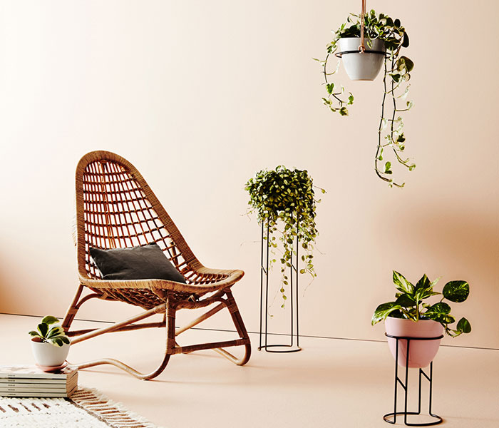 10 fresh ways to display plants in the home