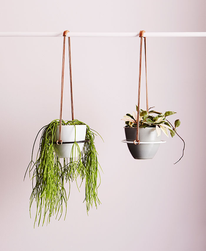 10 fresh ways to display plants in the home