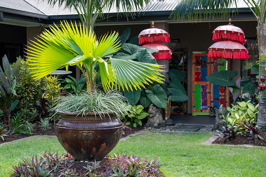 Bioscapes Bali style garden Tropical Living