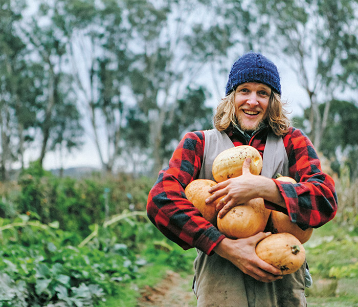 grown-gathered-pumpkin-harvest-matt