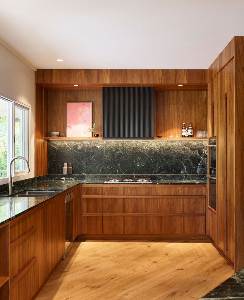 Goode Residence by Hive Architecture - Scott Burrows Photo - kitchen counters and cabinets overview